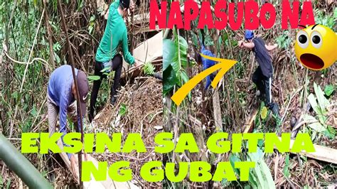 kayatan sa gubat|Akala ko kantutan lang bat moko sinabunutan .